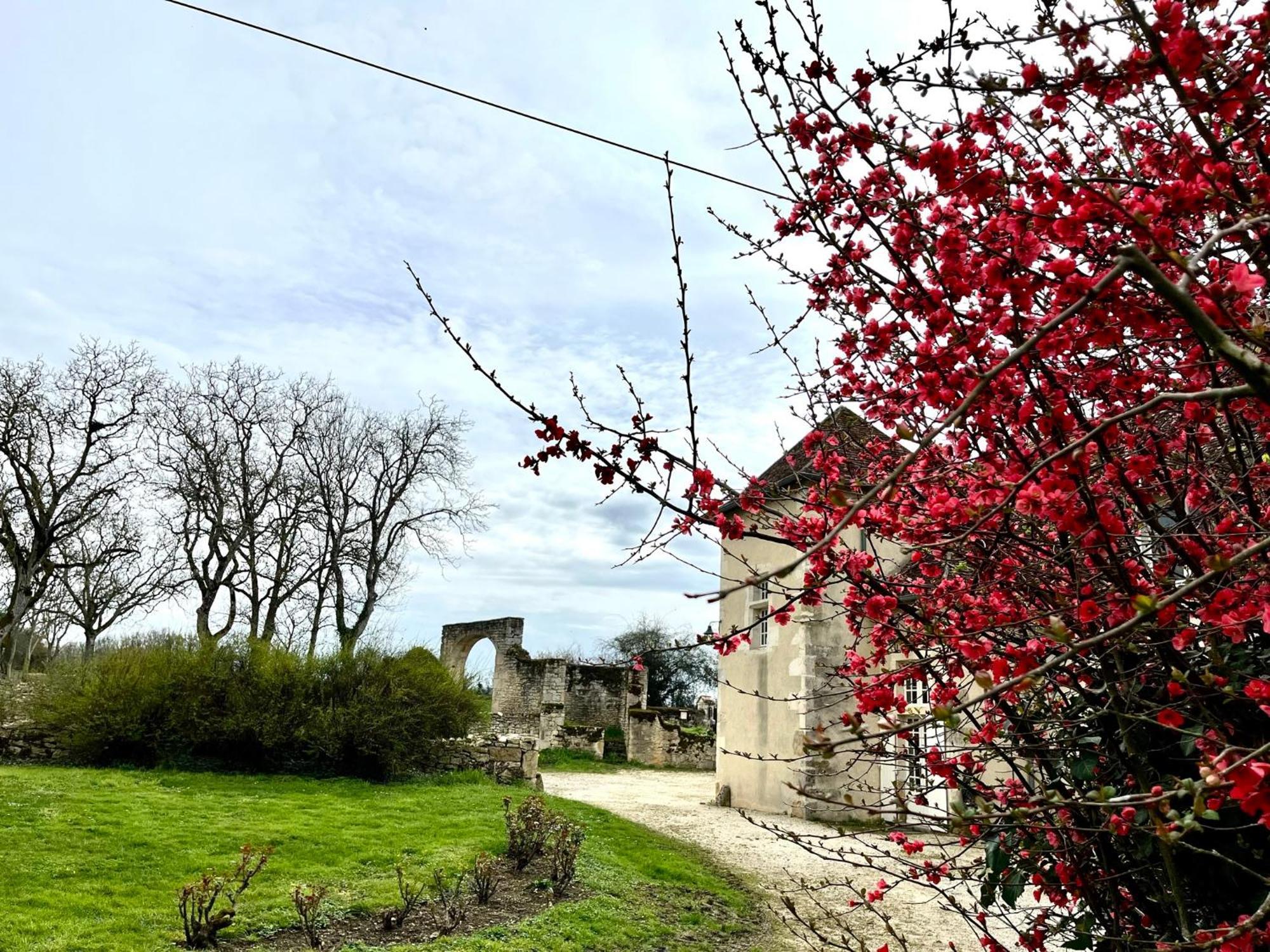 Ourouer-les-Bourdelins O2 Tours Bed & Breakfast エクステリア 写真